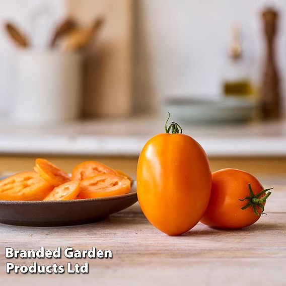 Tomato 'Vivacious' F1