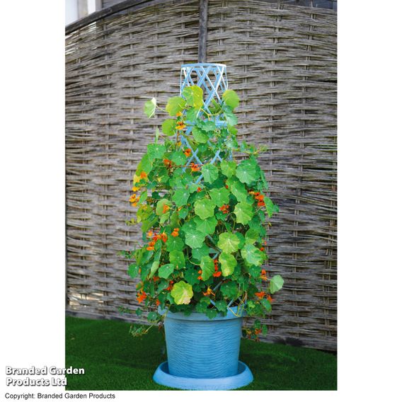 Garden Gear - Mayan Blue Tower Pot