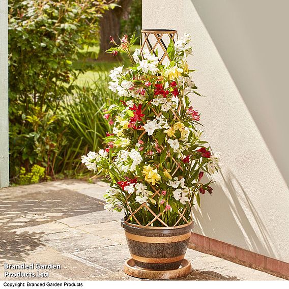 Garden Gear - Wooden Barrel Effect Tower Pot