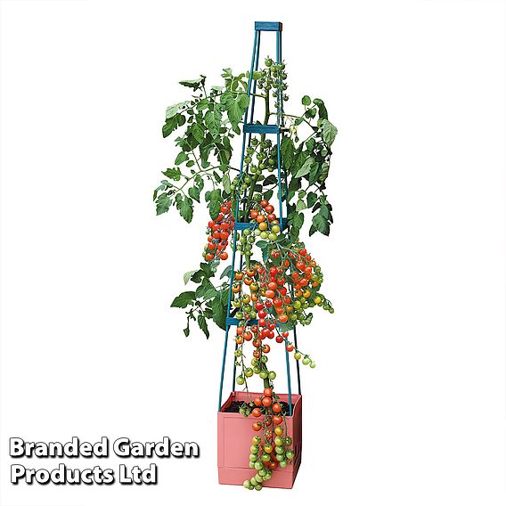 4 Tier Self Watering Tomato Tower