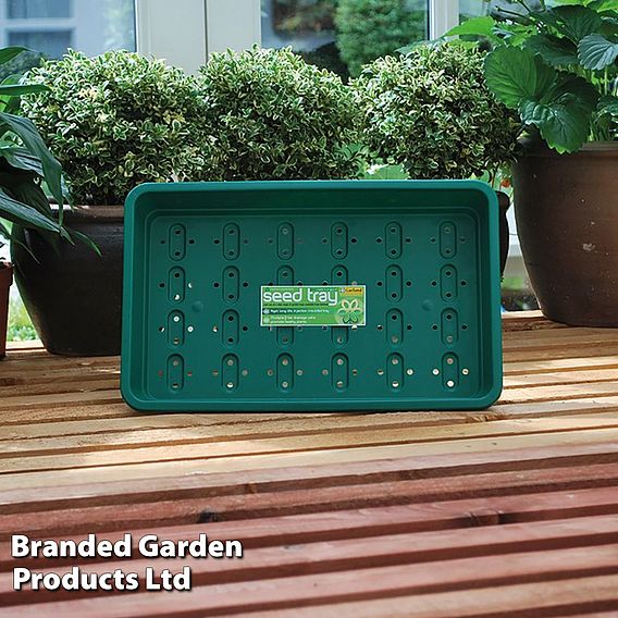 Seed Trays - Full Size