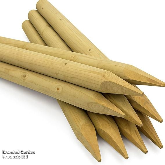 Wooden Tree Stake