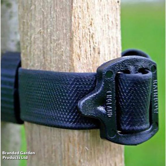 Heavy Duty Buckle Tree Tie