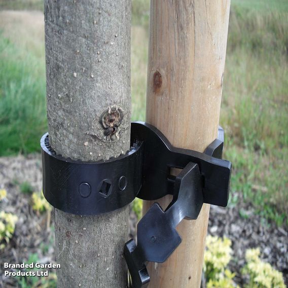 Supersoft Tree Tie