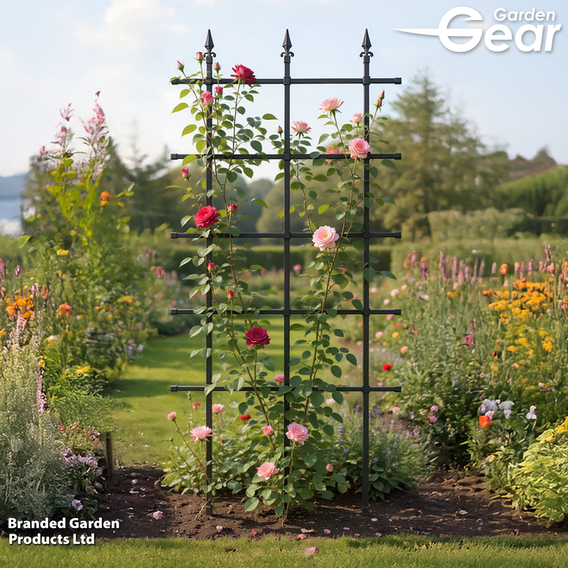 Garden Gear - Climbing Trellis/Rose Fence