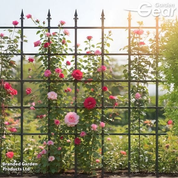 Garden Gear - Climbing Trellis/Rose Fence