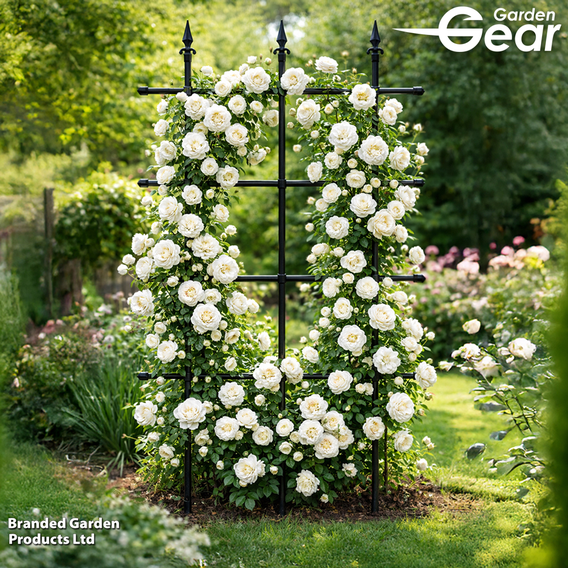 Garden Gear - Climbing Trellis/Rose Fence