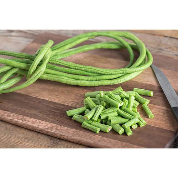 Bean 'Yard Long Bean' - Seeds