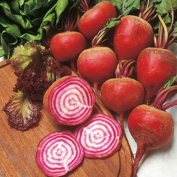 Beetroot Seeds - Chioggia Pink