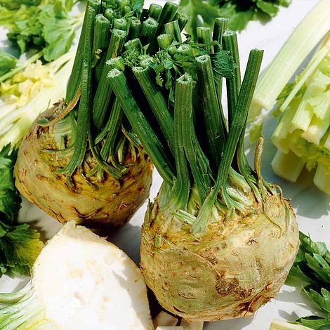Celeriac 'Brilliant' - Seeds