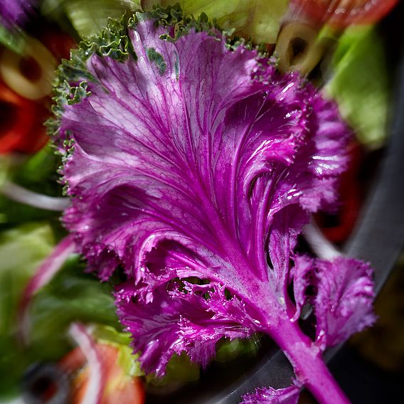 Kale Rainbow Candy Crush