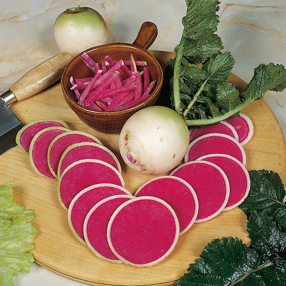 Radish 'Mantanghong' F1 - Seeds
