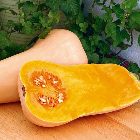 Squash 'Hunter' F1 - Seeds