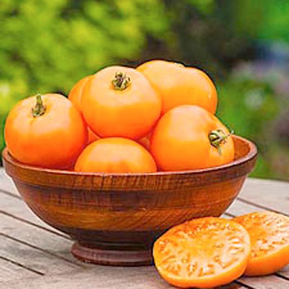 Tomato 'Orange Wellington' (Indeterminate) - Seeds