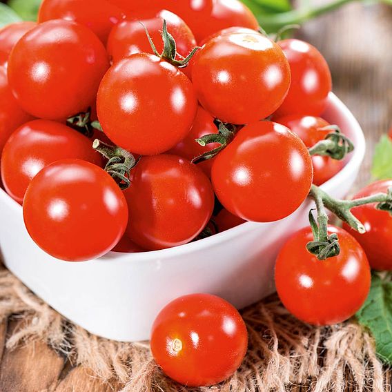 Tomato Seeds - Crimson Cherry F1 (Indeterminate)