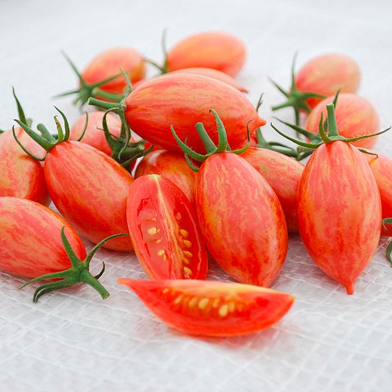 Tomato 'Artisan Pink Tiger' (Indeterminate) - Seeds