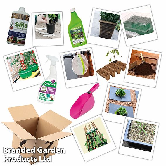 Mystery Garden Gift Bundle - Large