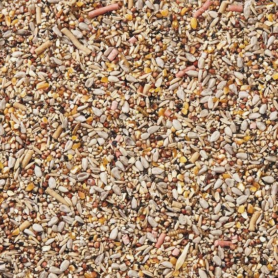 Spring & Summer Premium Seed Mix