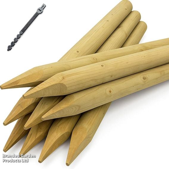 Tree Planting Kit