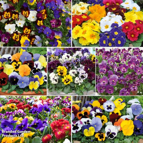 Winter Wonderful Bedding Collection