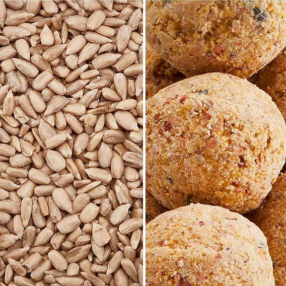 Happy Beaks - High Energy High Fat Bundle
