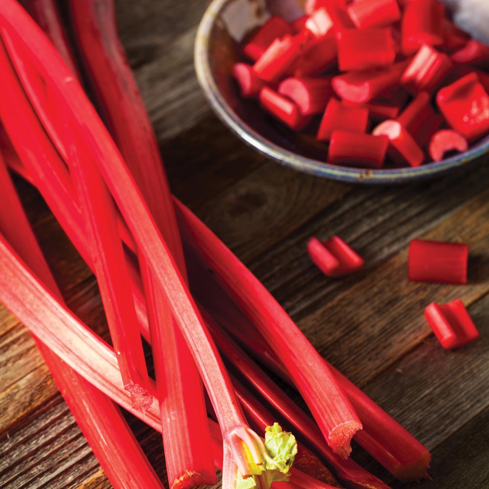 Rhubarb 'Fulton's Strawberry Surprise' (Spring/Autumn Planting) image