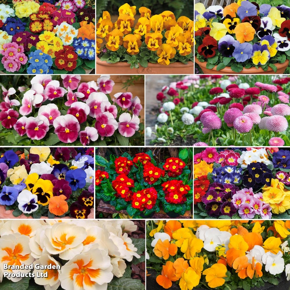 Winter Bedding Super Saver Collection image